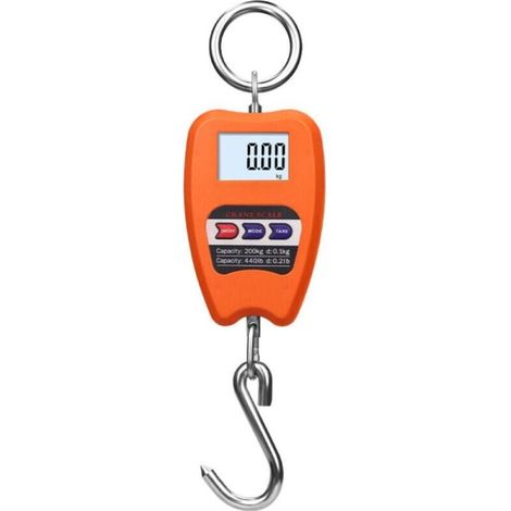 Balance Numérique Professionnelle 200kg, Dynamomètre avec Crochet Suspendu, Idéal pour Pesée de Valises et Applications Industrielles