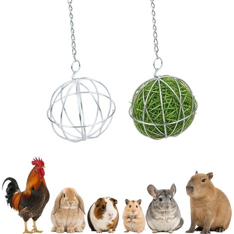 2 Pcs Stainless Steel Rabbit Hay Ball Hay Ball Rodent Accessory Hanging Hay Balls with Hanging Hook, Metal Hay Ball (1/5)