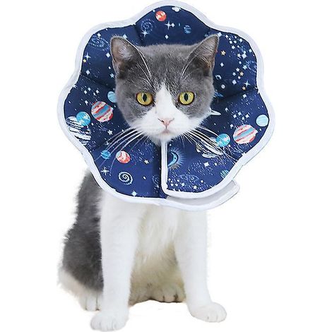 bleu (s)-collerettes Pour Chat Anti-morsure Protection Ajustable Collier De Rcupration Comfy Cone Pour Chat Et Chiots (1/5)