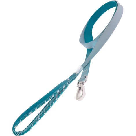 Guinzaglio linea Onda con maniglia morbida in neoprene e cinghia sfumata in nylon per cani - Azzurro (1/5)
