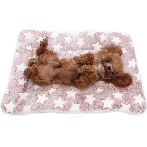 Waschbare Hunde- und Katzenbettmatte – süßer Aufdruck – dicke und weiche Decke – 60 x 80 cm (1/5)