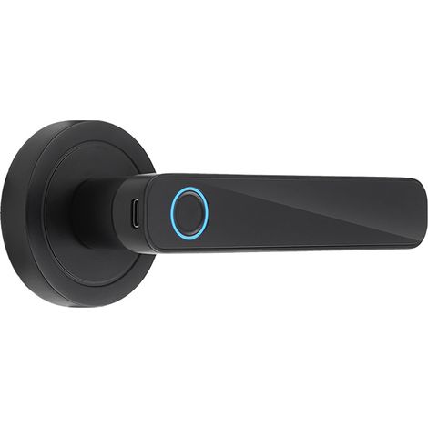 Serrure de porte biométrique intelligente à empreinte digitale, entrée sans clé, avec poignée et déverrouillage par clé. Contrôle via l'application Tuya et connexion Bluetooth. Idéale pour la maison, (1/2)