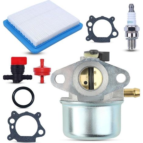 799868 Carburateur Set pour Briggs & Stratton avec bougie d'allumage filtre à air joint soupape universelle filtre à huile 498170 497586 497314 491588 (1/5)