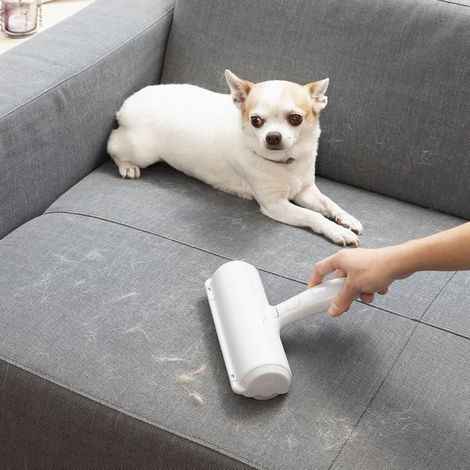 Brosse anti-cheveux - Rellair - InnovaGoods - Écologique - Réutilisable - Multifonctionnelle (1/2)