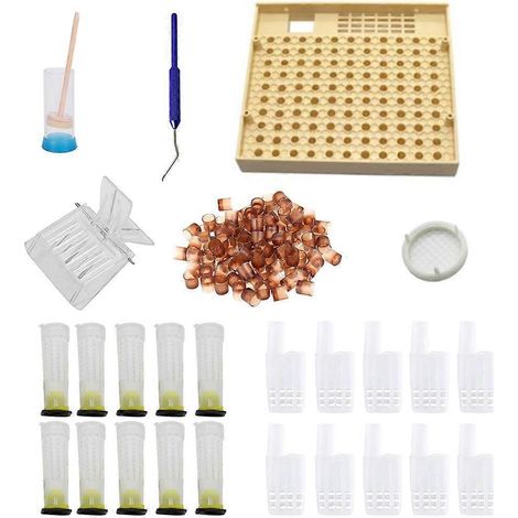 Komplettes Königinnenzucht-Set mit Bienenfangkasten