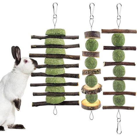 Lapin Jouets à Mâcher 3 Pcs Petit Animal Nature Timothy Foin Gâteau Pomme Bâtons Soins Dentaires Collations Chinchilla Cobaye Gerbille Mâcher Molaire Dent Accessoires (1/5)