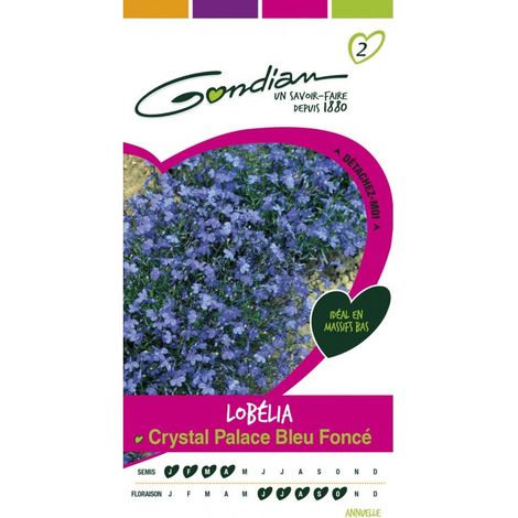 Gondian - Lobélia Crystal Palace Bleu foncé (1/2)