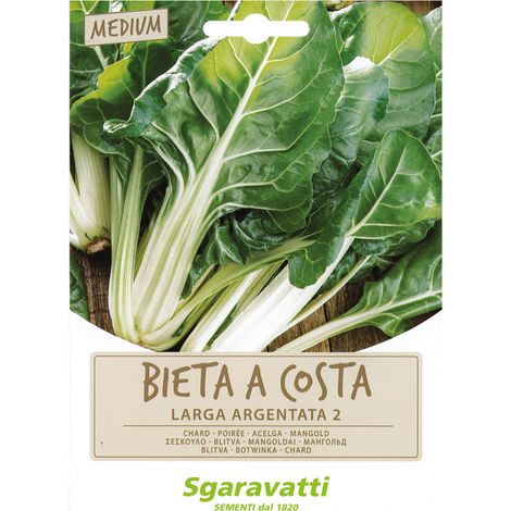 SEMI PER ORTAGGI E VEGETALI bieta verde costa larga argentata