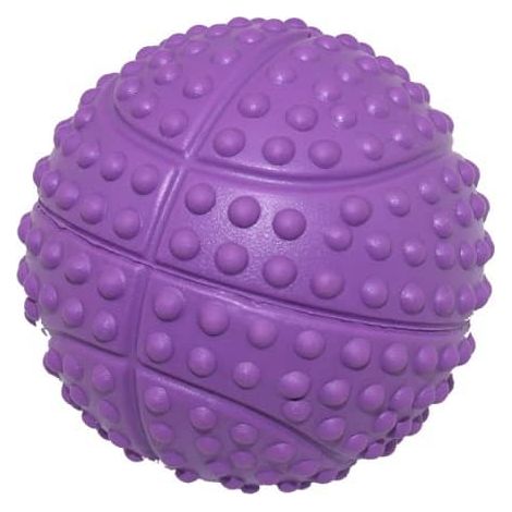 Pelota para Perro basket 6 cm Morado