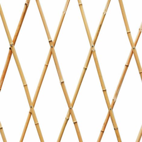 Treillis Bambou Extensible Support Végétal Naturel Et Ajustable - Faura