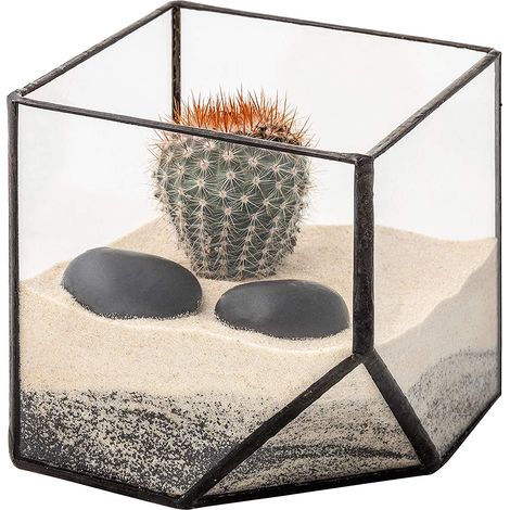 Ultra 10x10x10 Square Clear Glass Terrarium Planter Geometrische Form For Display Wedding Tabletops Einzigartiges Zentrepiece oder (1/5)