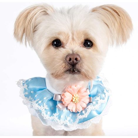1 pièce Collier pour chien ou chat, bandana en polyester, tour de cou déguisement, accessoire animalier, bleu (1/5)