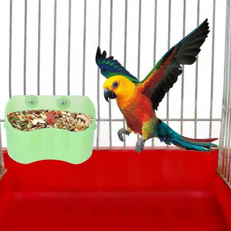 Mangeoire murale pour perroquets verts, gamelle d'eau et de nourriture, jouet pour petits oiseaux et chinchillas. (1/5)