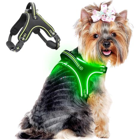 Harnais pour chien, sans boucle de traction, LED avec poignée, rechargeable, harnais réfléchissant pour chien (vert, S) (1/5)