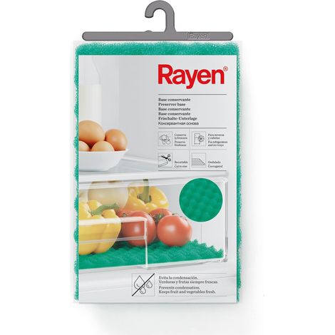 Base conservante per contenitore frigorifero 47 x 30 cm - Rayen (1/4)