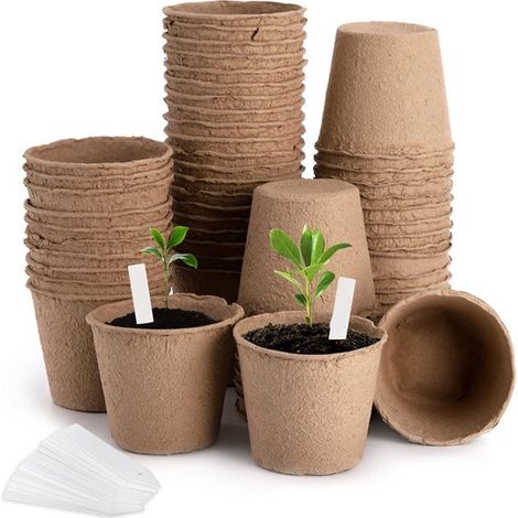 50 Anzuchttöpfe biologisch abbaubar mit Löchern für Pflanzen Stecklinge Torftöpfe inklusive 50 Pflanzenetiketten für Blumen und Gemüse quadratisc (1/5)