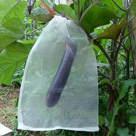 Sacs en filet anti-insectes pour fruits et légumes - Lot de 15 en nylon, 25 x 25 cm (1/2)