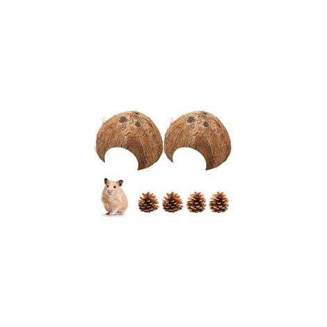 Lot de demi-coquilles de noix de coco, cachette et décoration pour petits animaux, ø 10-14 cm – (1/5)