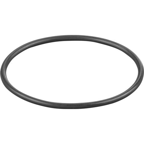 Rems O-Ring 060353