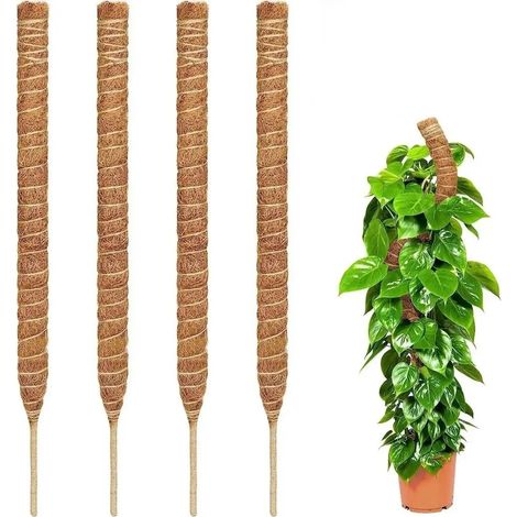 Lot de 4 supports pour plantes poteaux flexibles pour Monstera (1/5)