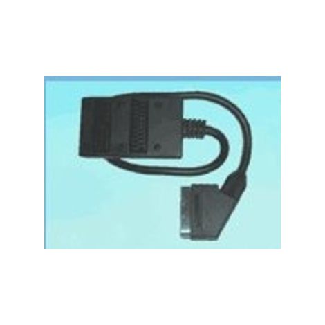EURO Maschio A 2 EURO Femmina Cavo 91780