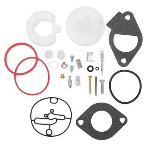 Kit de réparation de carburateur 25 pièces pour tondeuse à gazon, outil de réparation pour la plupart des moteurs modèle 215000 (1/5)