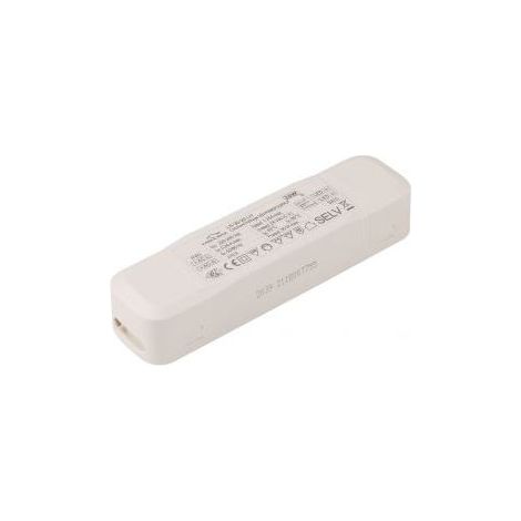 Transformateur LED 24VDC 30W Bornier EagleRise LS-30-24
