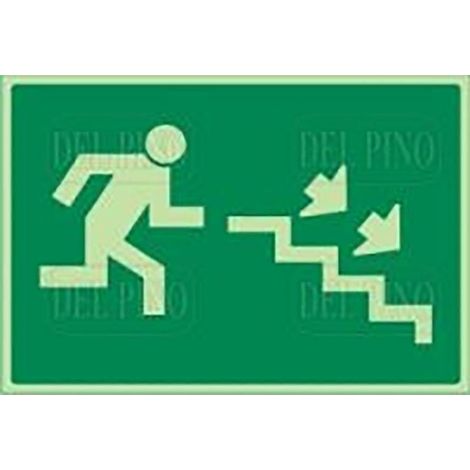 señal fotoluminiscente de evacuación. fotoluminiscente. señal de emergencia. plástico