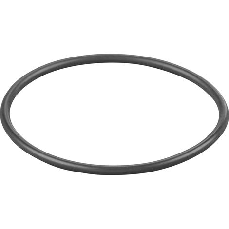 Rems O-Ring 060108