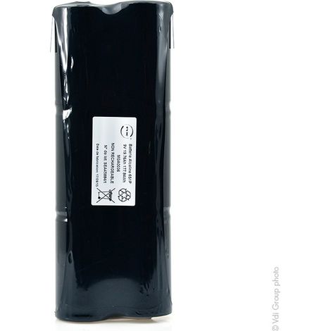 NX - Batterie alcaline 6LR20 (2 bâtons de 3) 9V 19.76Ah T2