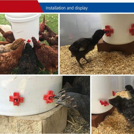 Abreuvoir Automatique - Mamelon À Eau Horizontal Pour Volaille - Pour Poules Et Poulets - 12 Pièces (1/4)