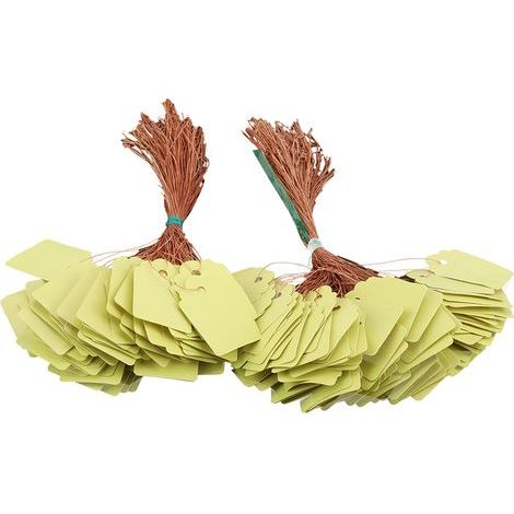 100 Étiquettes de Marqueurs de Plantes en Plastique pour Jardin Pépinière (1/4)