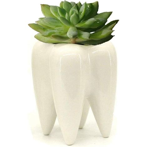 Pot En Céramique - Forme De Dent - 10 cm De Hauteur - Pour Crayons Stylos Brosse À Dents Plantes Succulentes - 1 Pièce (1/5)