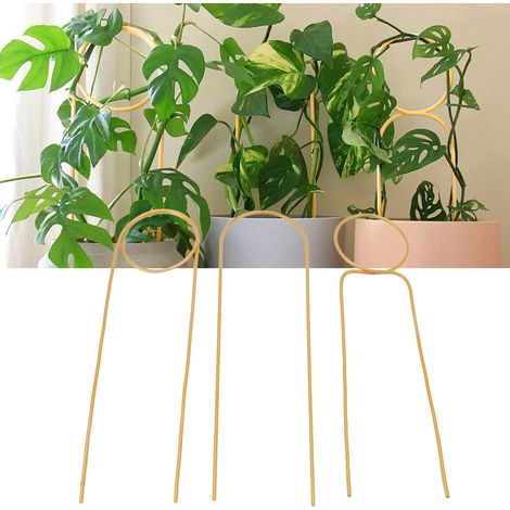 Support pour plantes grimpantes en fer forgé de 40 cm, pour plantes vertes d'intérieur en pot et compositions florales, tige de fixation en métal, doré (1/5)