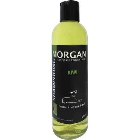 Shampoing protéiné senteur Kiwi Morgan : 250ml
