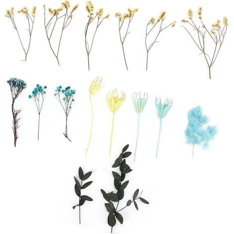 Bouquet de fleurs séchées naturelles, inodores, matériaux DIY exquis pour décoration de table et fête. (1/5)