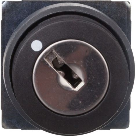 SCHNEIDER 2-Positionen-Schlüsselschalter mit 10A und 250V, ideal zur Steuerung elektrischer Stromkreise.
