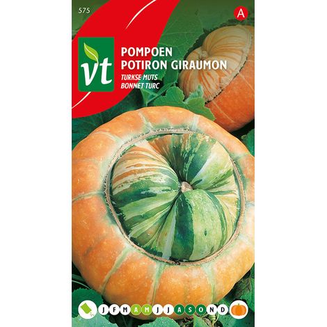 Potiron Giraumon Bonnet Turc - Ca. 2 gr (Livraison Gratuite) (1/2)
