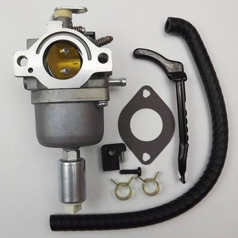 The B&S carburetors are compatible with the Briggs & Stratton engine models 791858, 792358, 793224, 794572 and 795365, and can be replaced with the Briggs & Stratton engine carburetors.