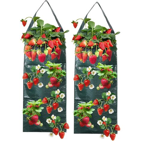 Hanging Planting Bag Grow Bag Vegetable Garden Breathable Planting Bags with Holes Suitable for Vegetables and Tomatoes Dark Green (1/4)
