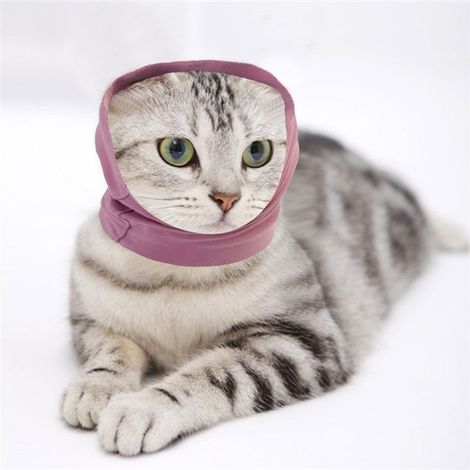 Cache-oreilles pour chien - Cache-cou et oreilles - Pour soulager l'anxiété et le toilettage - Pour chiens et chats - Imperméable - Aide à calmer le bruit - Taille S - Rose (1/5)