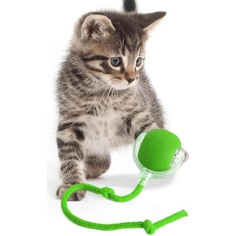 Jouet interactif pour chat -Jouet laser intelligent avec lumière LED pour chats - Détecteur de mouvement - Balle intelligente (1/4)