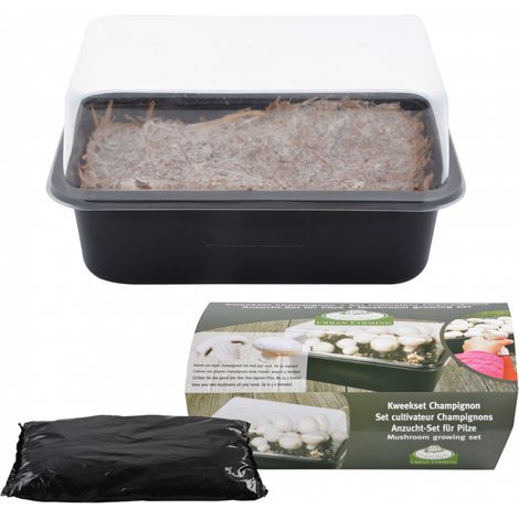 Set cultivateur de champignons - H 15,4 cm - Noir - Livraison gratuite