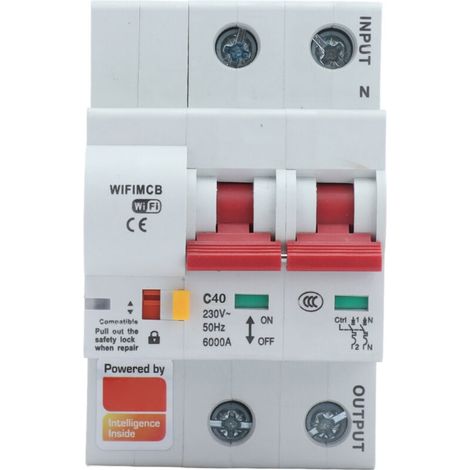 2-poliger 16-A-AC220V-Smart-Leistungsschalter, Steuerung per WLAN/Bluetooth/App, Überspannungsschutz
