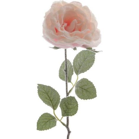 Rosa rosa de un solo tallo con nieve