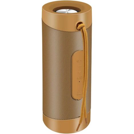Enceinte Bluetooth HDY-G35 (Autonomie : 6 heures - 10 W - Or) (1/3)