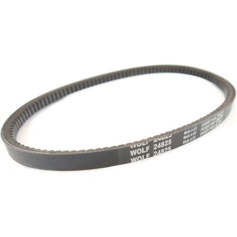 Outils Wolf – Courroie embrayage de lame tondeuse – Accessoire pour tondeuse PBTF46 – Pour coupe précise et durable – Pièce d'origine Wolf