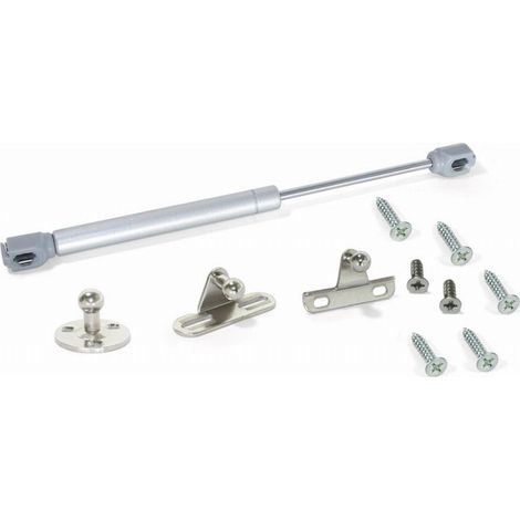 Amortisseur à piston EMUCA 6 kg C=80/100 mm Gris - Embouts rotule (1/3)