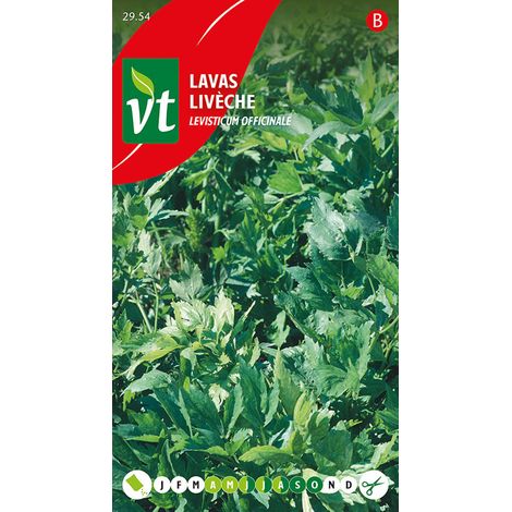 Ache De Montagne - Ca. 1 gr (Livraison Gratuite) (1/2)