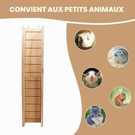 Rampe d'escalade pour cochons d'Inde, Pont en bois pour jouets d'animaux, Échelle pour hamster, Accessoire pour petits animaux cochons d'Inde, hamsters, rats, chinchillas, écureuils - 60 × 12,5 × 7 cm (1/4)